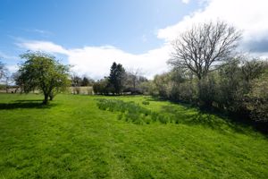 Photo 21- click for photo gallery